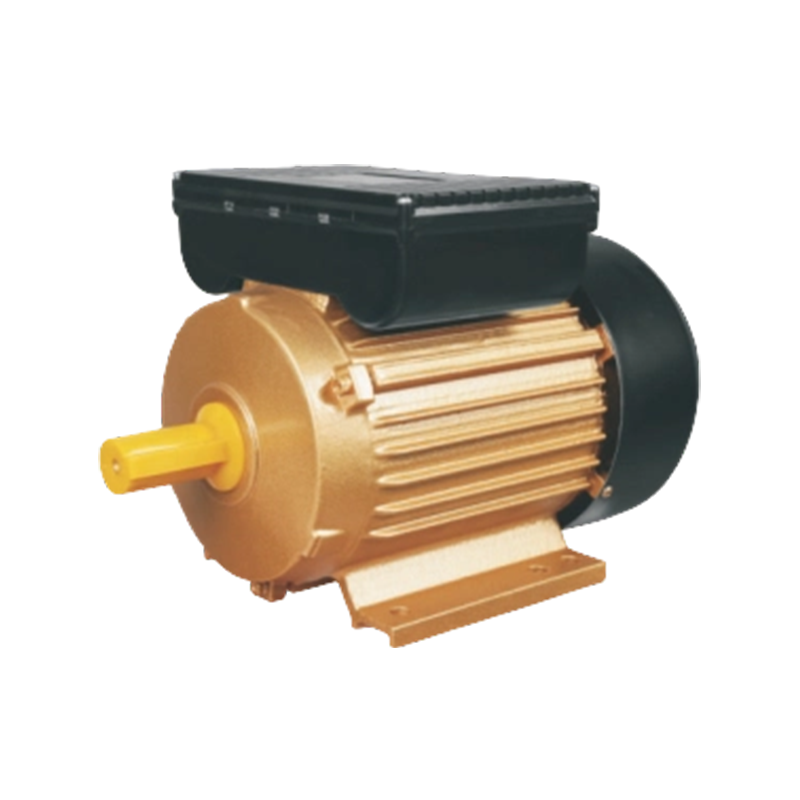 YL Series Two-Value Capacitor Asynchronous Motor