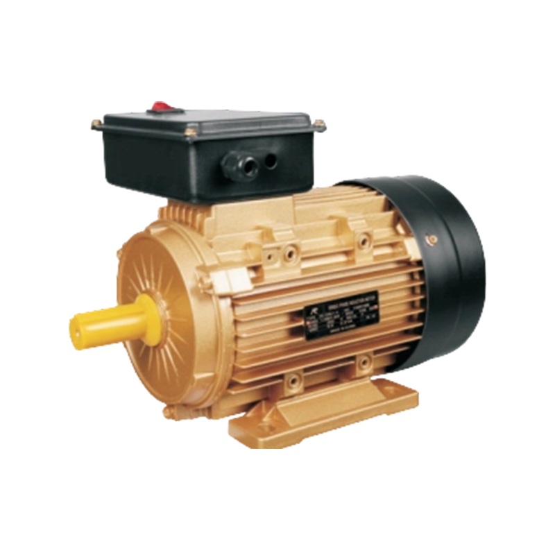 ML Series Two-Value Capacitor Asynchronous Motor