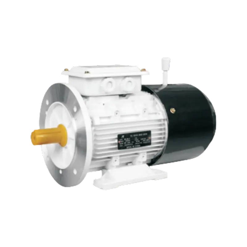YEJ Series Electromagnetic Brake Asynchronous Motor