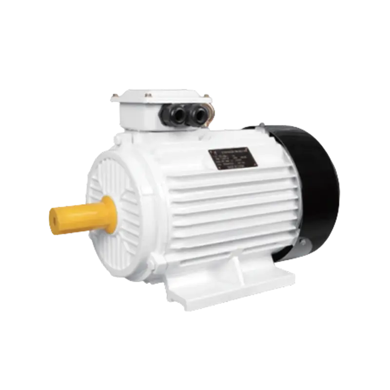 YD Series Pole-Changing Multi-Speed Asynchronous Motor