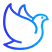 Zhejiang Sende Motor Co., Ltd.